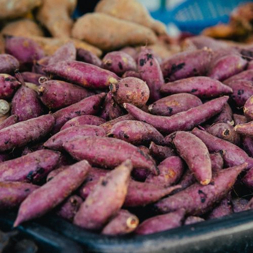 Sweet potatoes piled for market