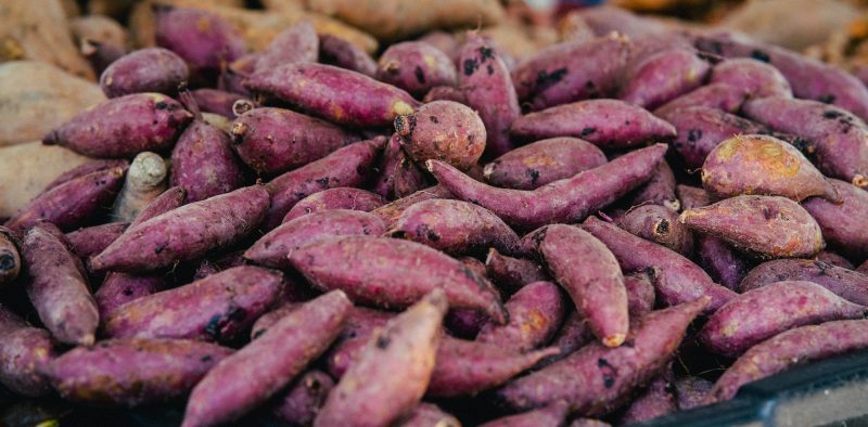 Sweet potatoes piled for market Sweet potatoes piled for market